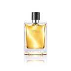 Hermès Terre d’Hermès Eau de Parfum 200 ml Flakon auf weißem Hintergrund