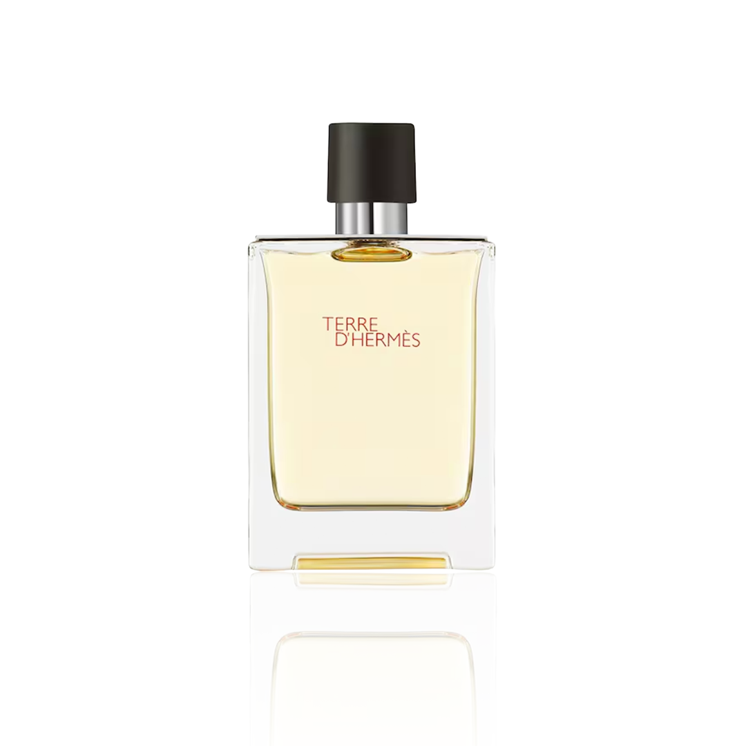Hermes Terre D Hermes EDT