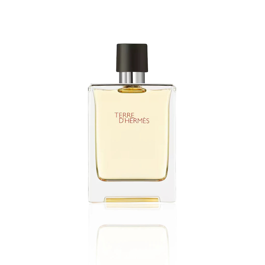 Hermès Terre d’Hermès Eau de Toilette 100 ml Flakon auf weißem Hintergrund