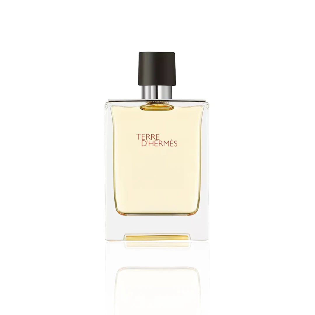 Hermès Terre d’Hermès Eau de Toilette 100 ml Flakon auf weißem Hintergrund