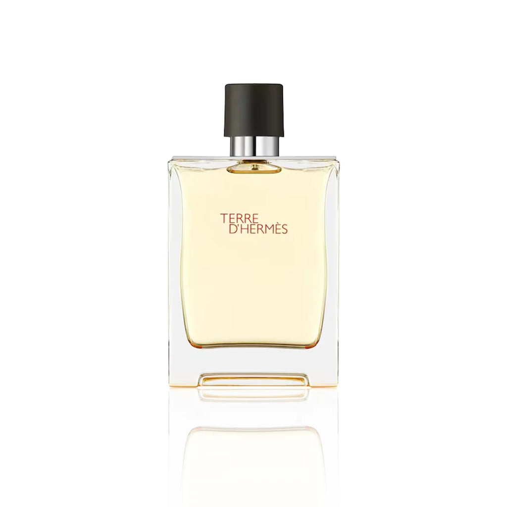 Hermès Terre d’Hermès Eau de Toilette
200 ml Flakon auf weißem Hintergrund