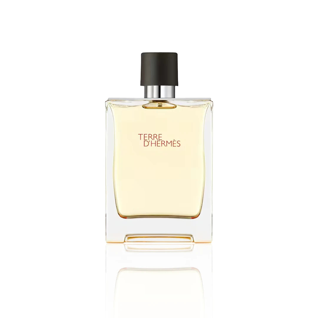 Hermès Terre d’Hermès Eau de Toilette
200 ml Flakon auf weißem Hintergrund