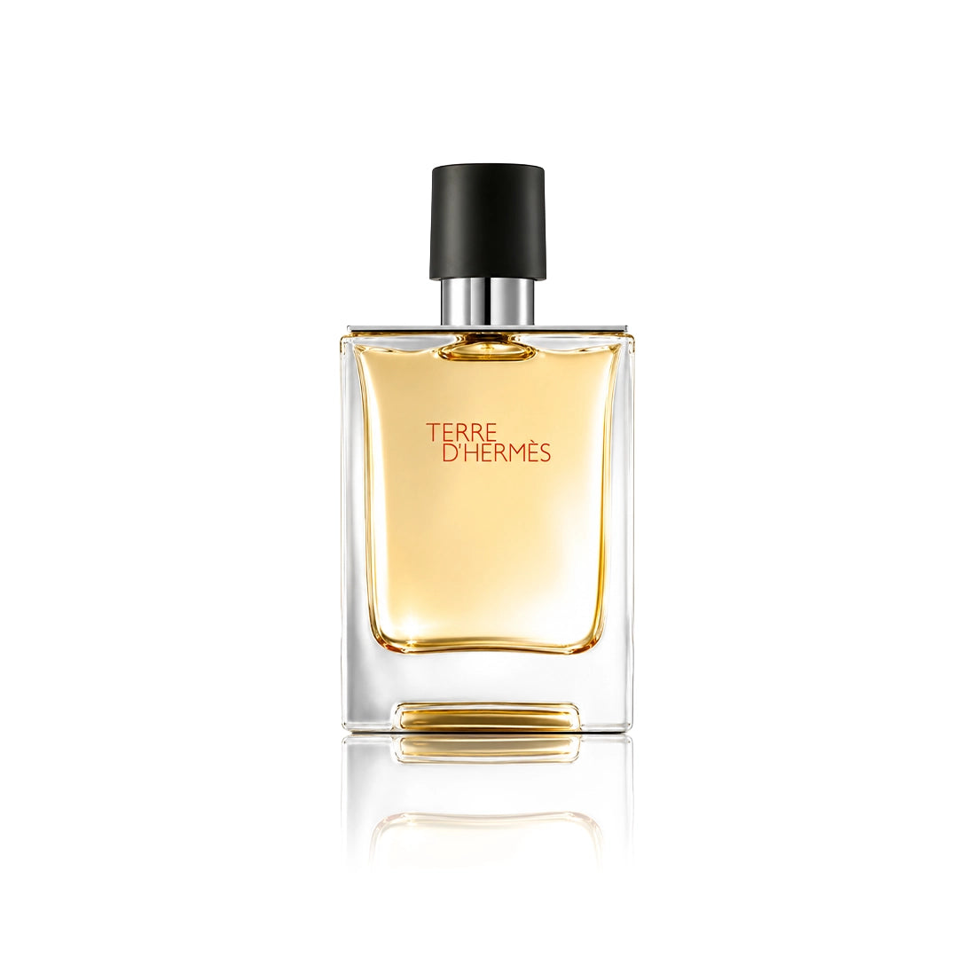 Hermès Terre d’Hermès Eau de Toilette 100 ml Flakon auf weißem Hintergrund